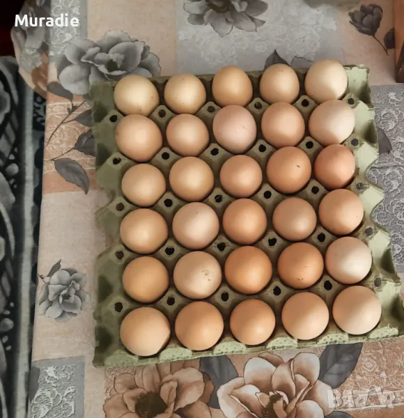 Домашни яйца от село  , снимка 1