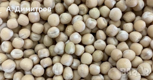 ЗЪРНО ГРАХ, снимка 1