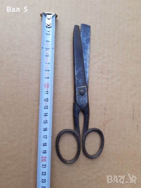 Голяма стара ножица, снимка 1
