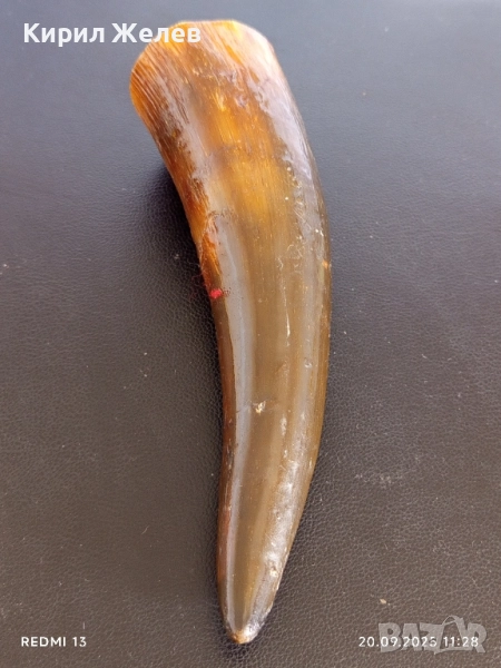 Винтидж чаша от стар кравешки рог за КОЛЕКЦИЯ ДЕКОРАЦИЯ 50647, снимка 1