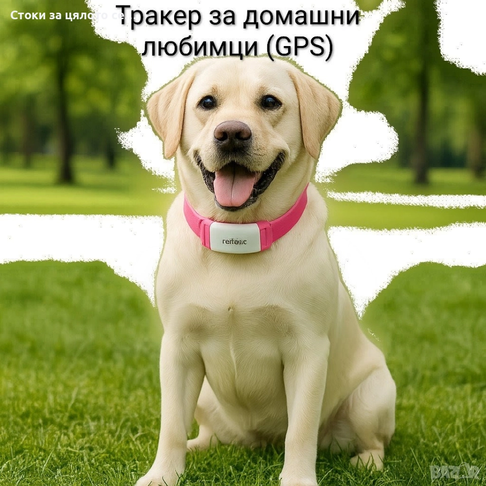 Тракер за домашни любимци (GPS), снимка 1