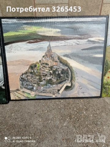 картини платно, снимка 4 - Картини - 51710672