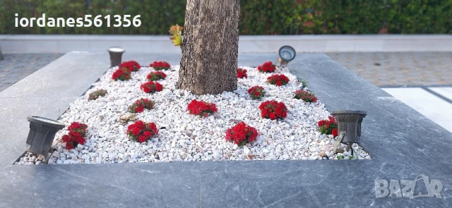 Декоративен Чакъл от Бял Камък за украса и декорации на градинки дворни площи, снимка 10 - Декорация за дома - 45742699