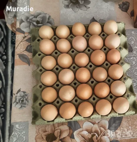 Домашни яйца от село  , снимка 1