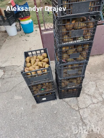 Круши, Ябълки,Мед и Сокове , снимка 4 - Домашни продукти - 56258345