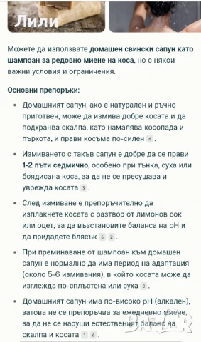 Домашен свински сапун , снимка 12 - Други - 50916991