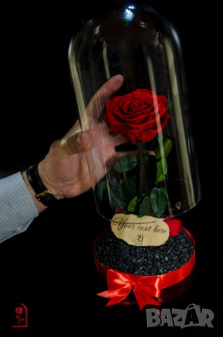 Вечна Роза в ГОЛЯМА стъкленица / Уникален Подарък за Жена / Естествена Вечна роза Подарък за Момиче, снимка 2 - Други - 34470627