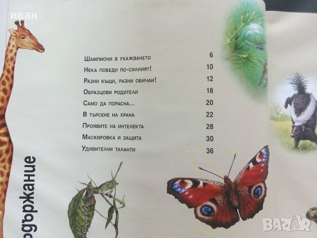 Детска енциклопедия "Животните" - издателство "Фют" - 2014г., снимка 3 - Енциклопедии, справочници - 42524517