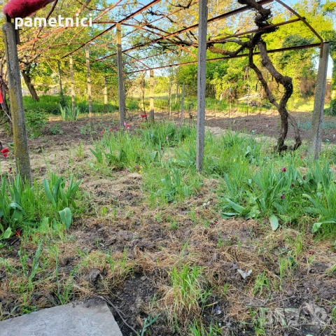 Продава се едноетажна масивна къща , снимка 13 - Къщи - 54085651