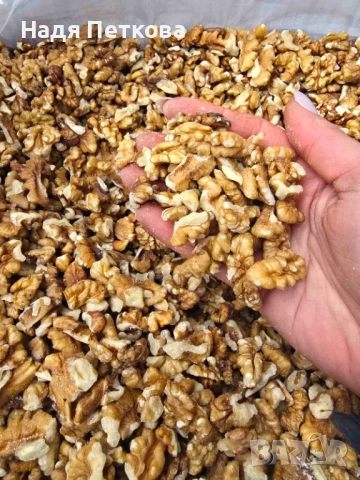 Орехови ядки: Реколта 2025 | Орехи на Едро