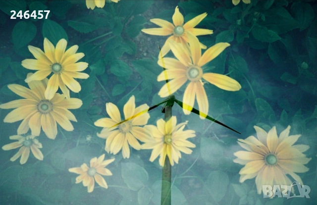 LOMO LC-A - Ломографски филмов фотоапарат , снимка 8 - Фотоапарати - 54139201