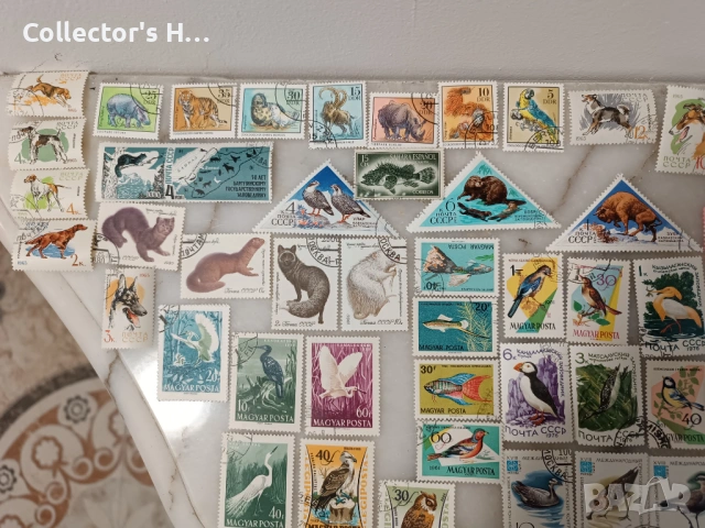 Сет от 95 марки с животни за 50 лв. общо, снимка 2 - Филателия - 53049132