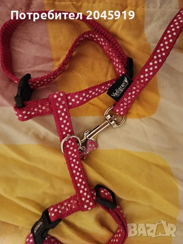 Нагръдник за котка, снимка 2 - За котки - 53327401