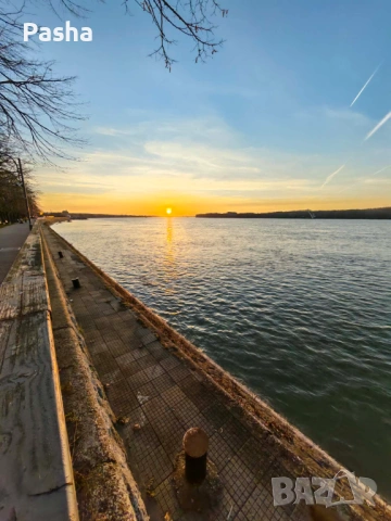 Стаи под наем, Гр. Силистра Център