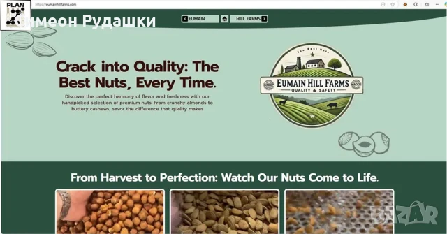 Website Разработка или миграция на сайт отлично SEO + домайн и хостинг, снимка 4 - Изработка и миграция на сайт - 51081050