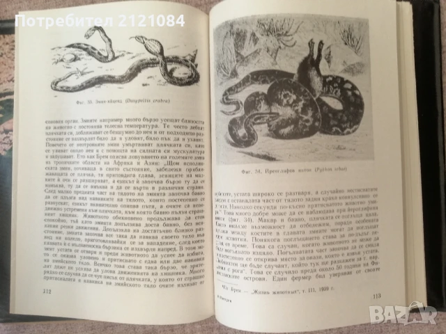 Влечуги / Цоло Пешев , снимка 5 - Специализирана литература - 51023469