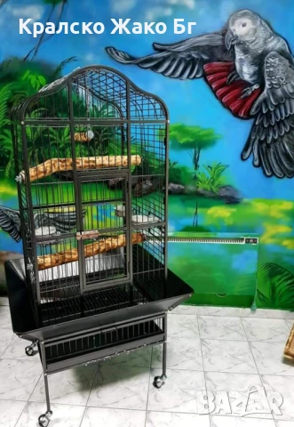 Волиера за папагали Жако !, снимка 3 - За птици - 50755115