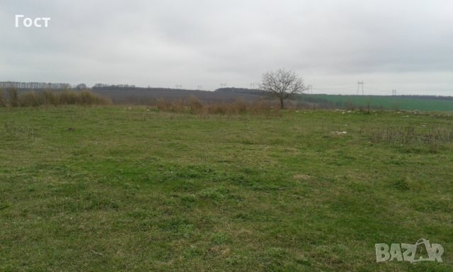 Къща с. Ведрина  с двор 6.5 дка , снимка 4 - Къщи - 30438074