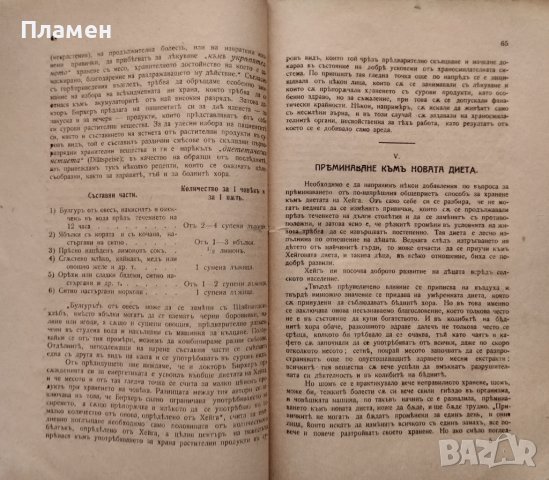 Какъ да запазимъ здравето и повърнемъ изгубената младостъ. Лекуване безъ церове Зигфридъ Мьолеръ, снимка 4 - Антикварни и старинни предмети - 42746870