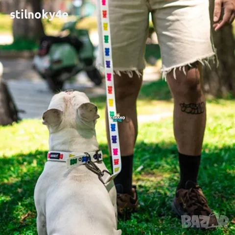 Нашийник за куче с принт на мечета Нашийници за кучета Кучешки нашийник Кучешки нашийници, снимка 2 - За кучета - 49112559