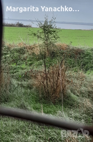 Двустаен апартамент на първа линия в с.Равда , снимка 14 - Апартаменти - 52351322