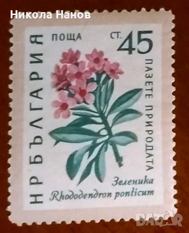 Български пощенски марки с цветя. Серия "Пазете природата". 1960 г., снимка 5 - Филателия - 55865910