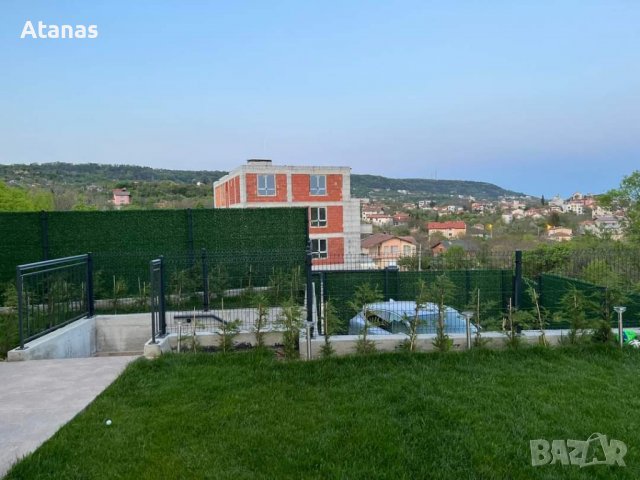 Декоративна мрежа - Трева - Жив плет, снимка 7 - Огради и мрежи - 39379867