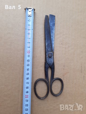 Голяма стара ножица, снимка 1