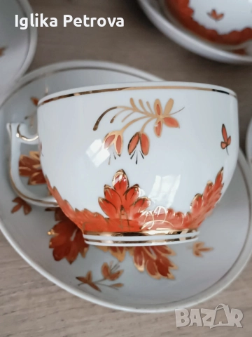 Сервиз  Барбарис-Вербилки, снимка 4 - Антикварни и старинни предмети - 52593985