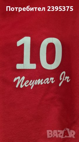 Екип Parish Saint - Germain, снимка 3 - Детски анцузи и суичери - 39537966