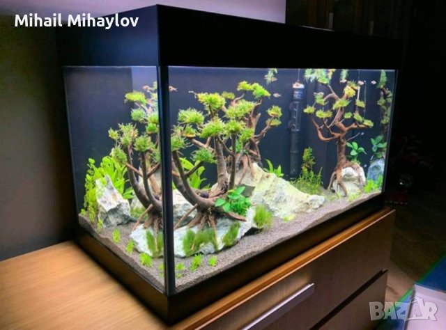 Изработвам сладководни аквариуми по желание и размер на клиента, снимка 7 - Аквариуми - 42346723