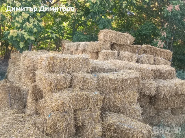 продавам тас годишни бали