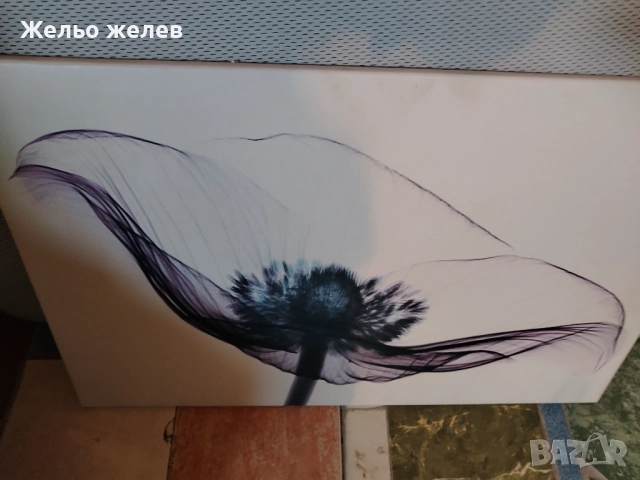 Картини 29лв 1бр., снимка 3 - Картини - 52565271