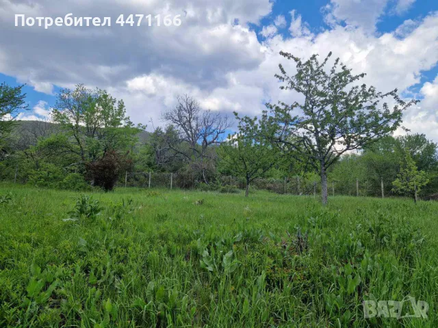 Селски имот, снимка 9 - Парцели - 50260210
