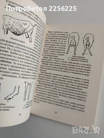 Млечно козевъдство, снимка 2 - Специализирана литература - 54310090