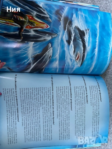 101 Тайни на делфините, снимка 5 - Други - 51647944