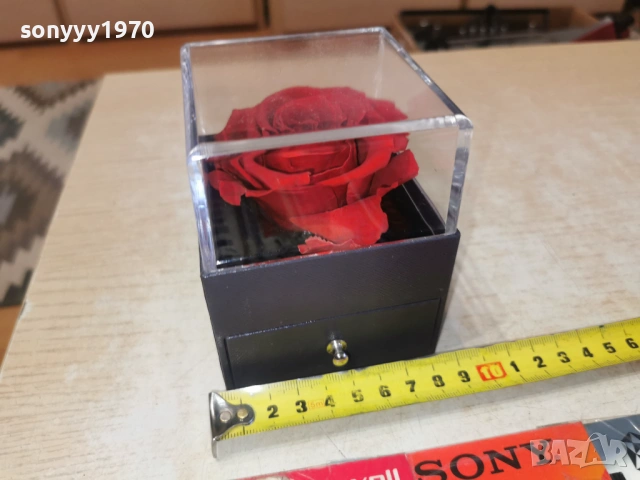 ВЕЧНА РОЗА 2303261655LCHERY1