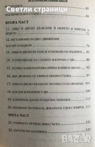 28 стъпки на Тайдзи Цигун Ли Динг, Чън Жонсин, снимка 3 - Специализирана литература - 37718241