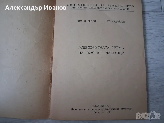 Стара книга,брошура "Говедовъдна ферма в с. душанци" 1955 г., снимка 2 - История, политика и общество - 55866651