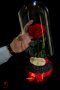 Вечна Роза в ГОЛЯМА стъкленица / Уникален Подарък за Жена / Естествена Вечна роза Подарък за Момиче, снимка 2