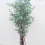 Изкуствен Шарен Фикус Бенджамин с преплетени стебла , снимка 1 - Изкуствени цветя - 42230303