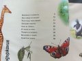 Детска енциклопедия "Животните" - издателство "Фют" - 2014г., снимка 3