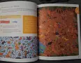 50 игри и упражнения за по-добра концентрация, снимка 3