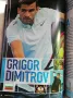 Григор Димитров / Grigor Dimitrov Тенис / Tennis 2017 ATP Finals , снимка 1