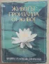 Животът произлиза от живот. Бхактиведанта Свами Прабхупада  , снимка 1