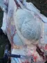 месо от крави телета бикове юници , снимка 9