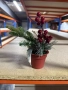 Изкуствена коледна декорация в саксия, 1 бр Classic Flora., снимка 1
