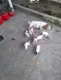 Джак ръсел териер, снимка 2
