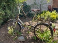 Старо ретро колело, снимка 1