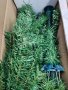 250см коледна елха XXXL , снимка 6